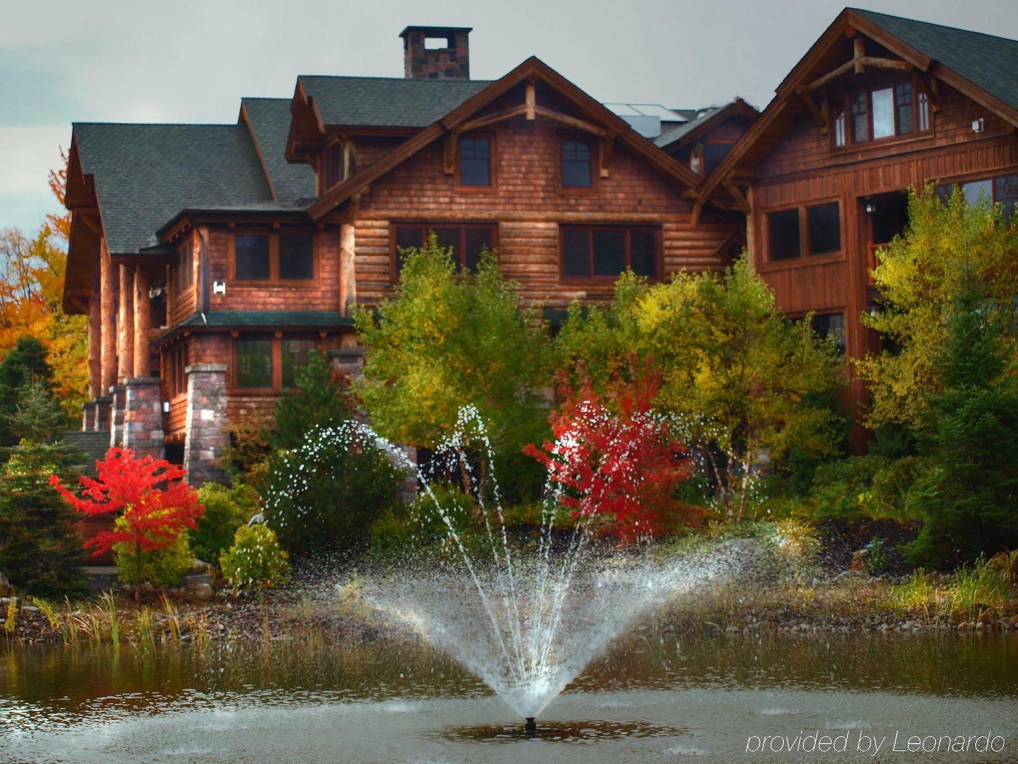 The Whiteface
